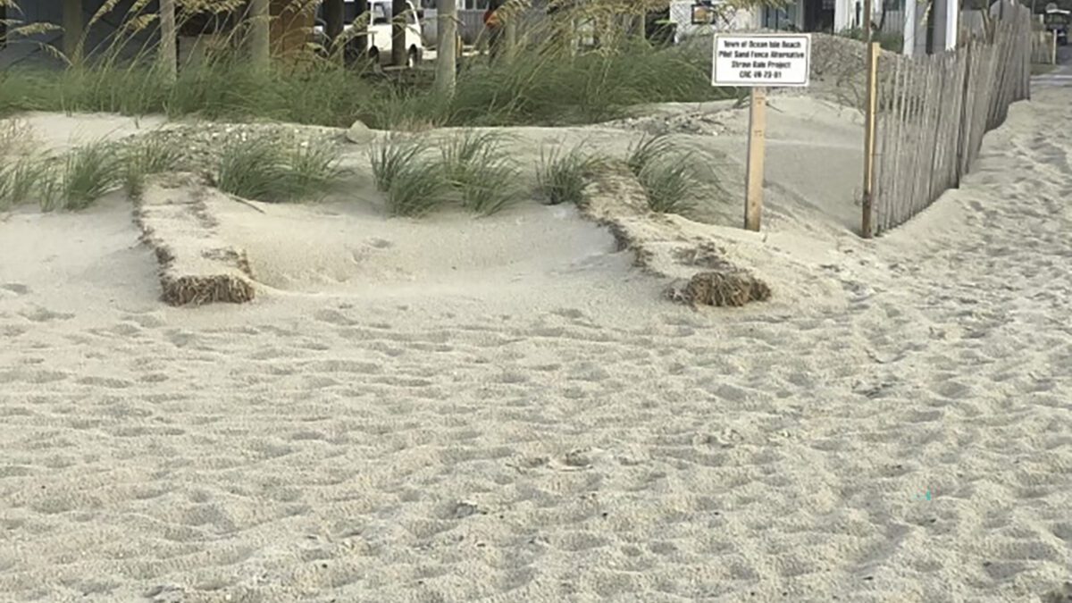 Ocean Isle Beach became the first North Carolina beach town to test the effectiveness of straw hay bales during a pilot project in 2023. Photo courtesy of Peter Maguire