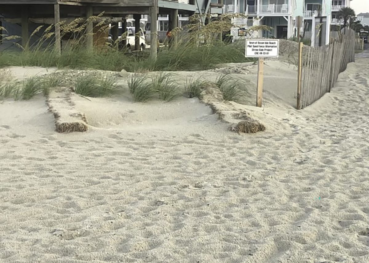 Ocean Isle Beach became the first North Carolina beach town to test the effectiveness of straw hay bales during a pilot project in 2023. Photo courtesy of Peter Maguire