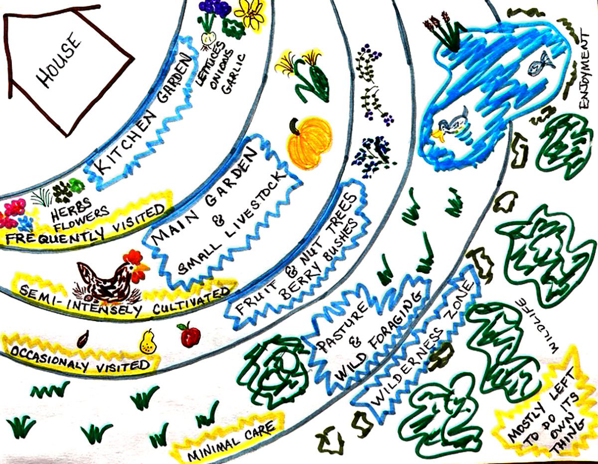 A quick sketch on permaculture shows how to think of permaculture as a target, with your house being the bull's-eye and everything else spreading out from there. Ideally, by putting the most-used areas closest to the center, everything else ripples out from the bull's-eye, taking best advantage of available space and land contours. Image: Heidi Skinner