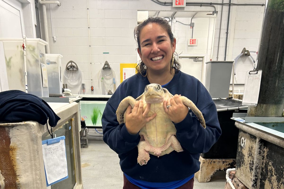 Animal Husbandry Curator Leslie Vegas with the North Carolina Aquarium on Roanoke Island is on the team caring for the cold-stunned sea turtles. Photo: Courtesy, Leslie Vegas