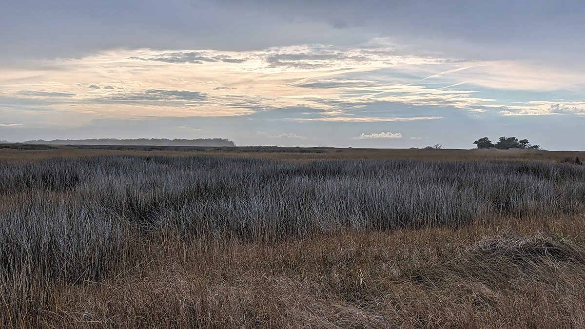 Ocracoke in winter. Photo: Peter Vankevich