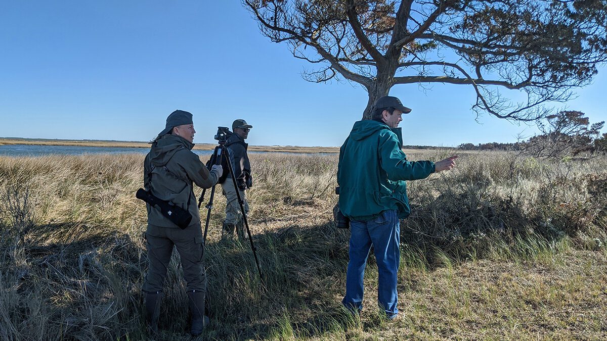 Bird counters flock to Portsmouth Island in December 2019. Photo: Peter Vankevich