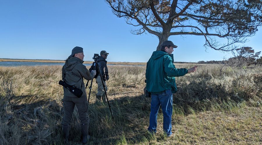 Bird counters flock to Portsmouth Island in December 2019. Photo: Peter Vankevich