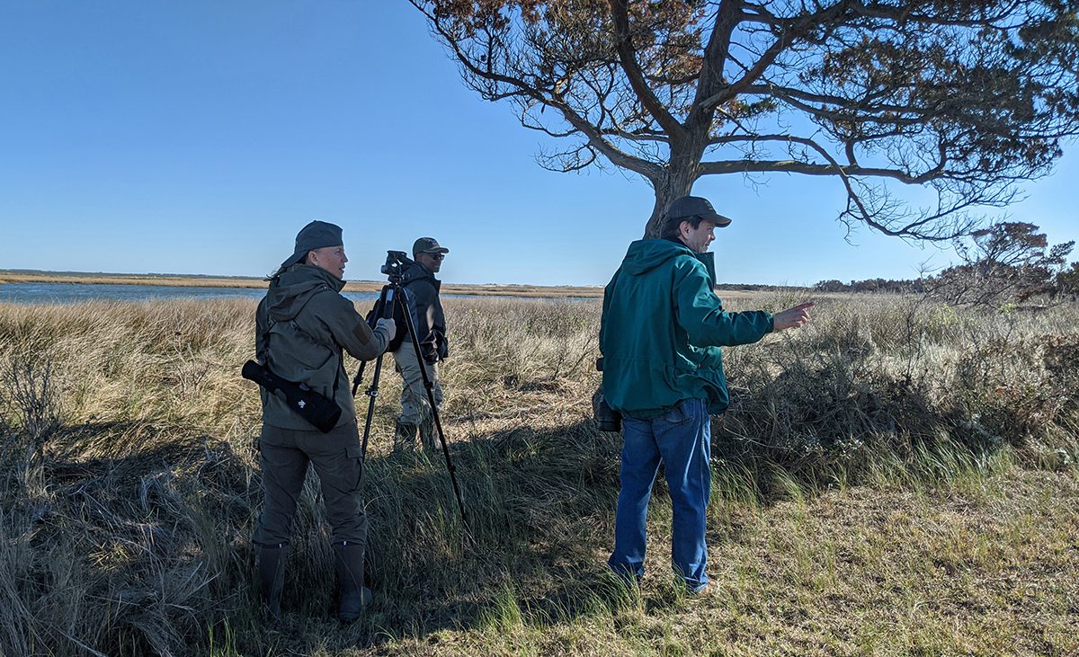 Bird counters flock to Portsmouth Island in December 2019. Photo: Peter Vankevich