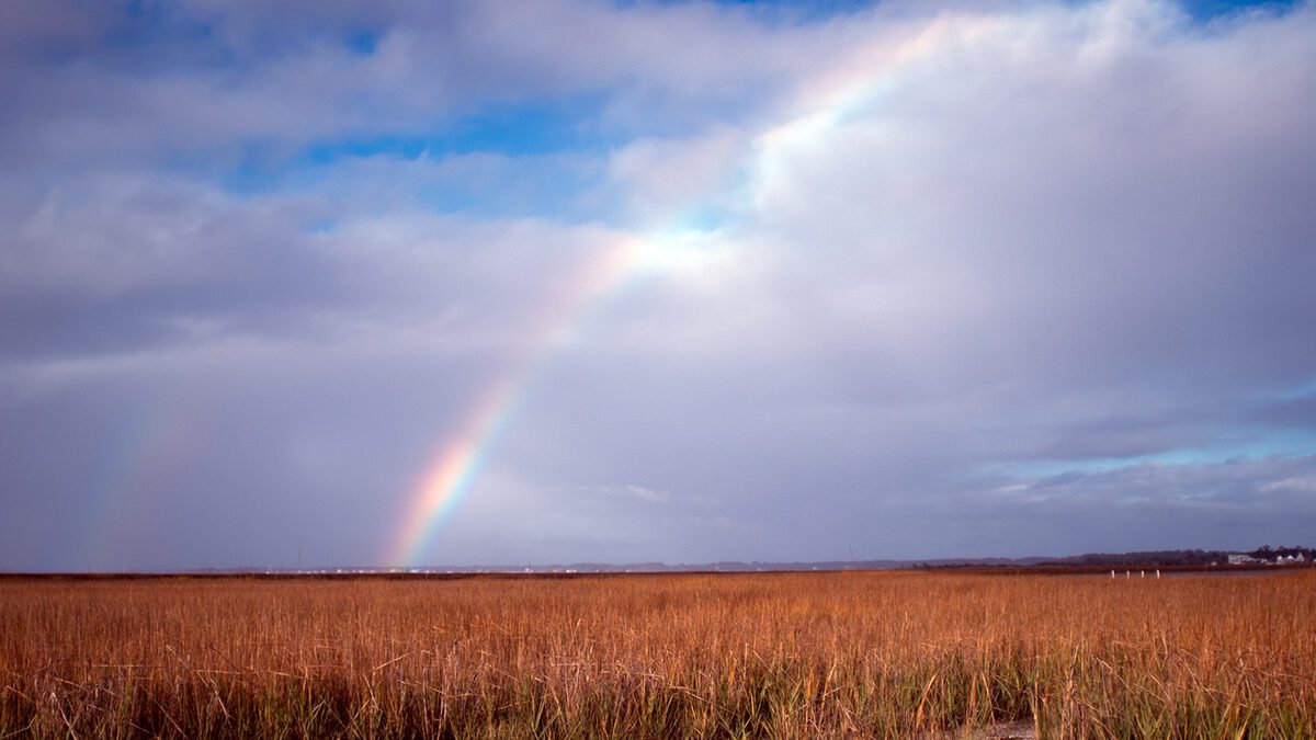 A rainbow reaches skyward from the Newport River as viewed from the marsh at Radio Island following Sunday showers. The island was formed by the placement of dredge spoils from an early channel deepening project at the Morehead City port in the 1930s and takes its name from Carteret Broadcasting Co.'s WMBL, which began broadcasting in 1947 at 740 kHz. Photo: Mark Hibbs