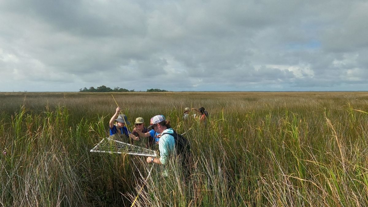 This year's Outer Banks Field Site students, shown here, ill present the findings of their Capstone Research Project in a presentation entitled, “The Sound of Change: Responses to controlled burns and other changes in the Currituck Sound" Dec. 12. Photo: UNC Institute for the Environment Outer Banks Field Site