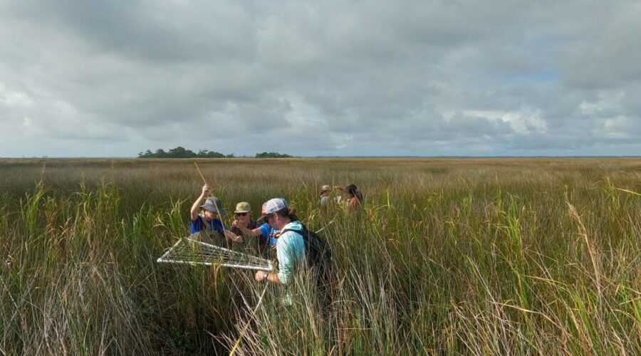 This year's Outer Banks Field Site students, shown here, ill present the findings of their Capstone Research Project in a presentation entitled, “The Sound of Change: Responses to controlled burns and other changes in the Currituck Sound" Dec. 12. Photo: UNC Institute for the Environment Outer Banks Field Site