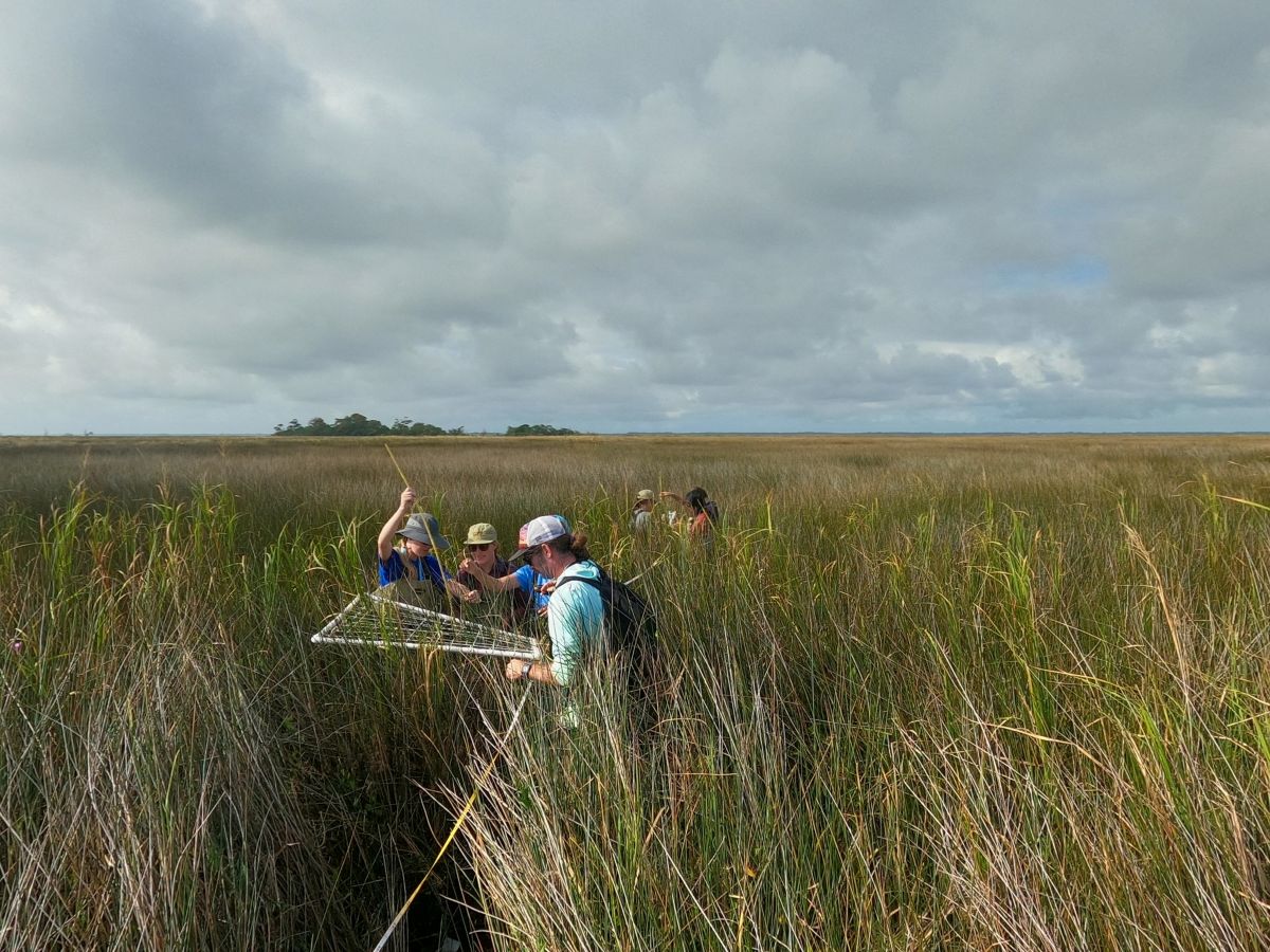 This year's Outer Banks Field Site students, shown here, ill present the findings of their Capstone Research Project in a presentation entitled, “The Sound of Change: Responses to controlled burns and other changes in the Currituck Sound" Dec. 12. Photo: UNC Institute for the Environment Outer Banks Field Site