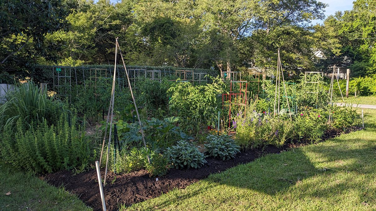 Tripod trellises take up little area and are great support for pole beans or peas. A variety of herbs add texture and color. Photo: Heather Brameyer.