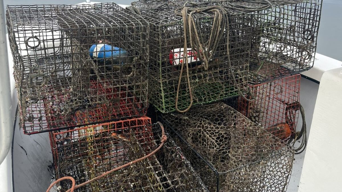 A handful of the 2,463 pots collected in 2024 from North Carolina waters. Photo: N.C. Coastal Federation