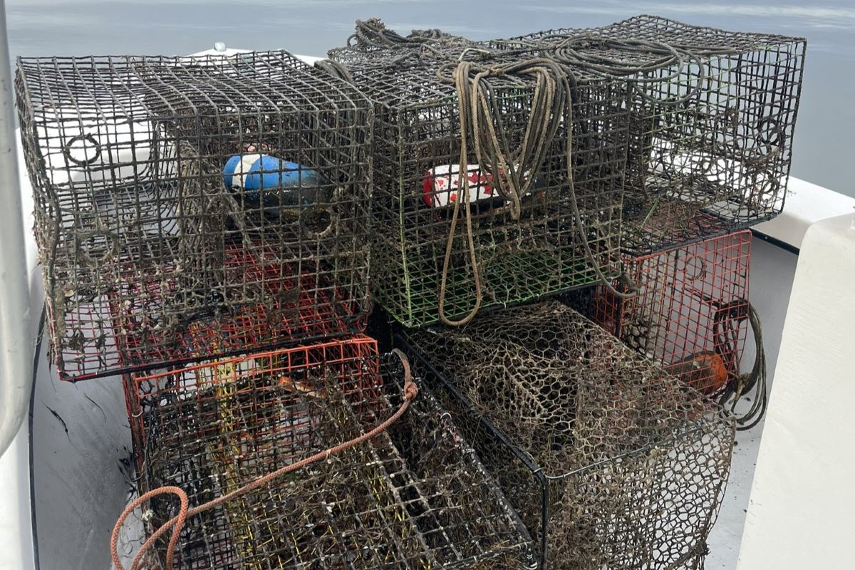 A handful of the 2,463 pots collected in 2024 from North Carolina waters. Photo: N.C. Coastal Federation