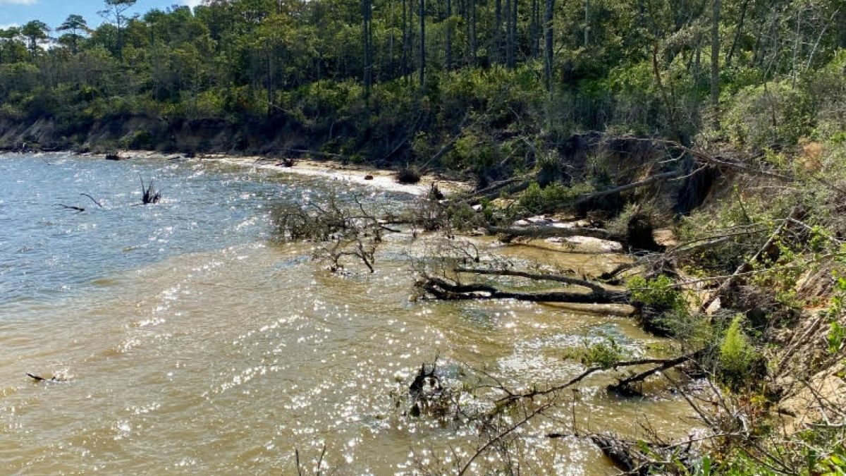 Closeup view of shoreline erosion at Fort Raleigh National Historic Site. Photo: National Park Service