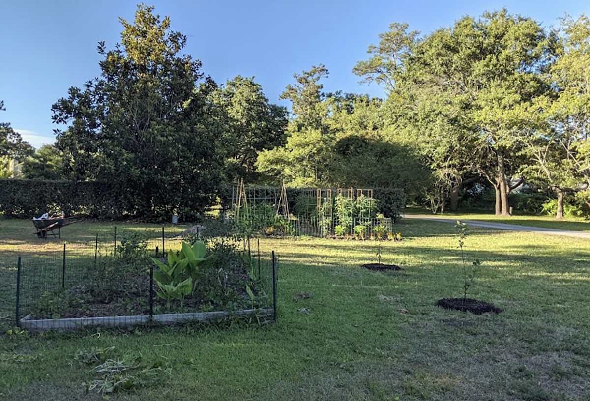 Note how the afternoon shade falls across the garden site. Photo: Heather Brameyer