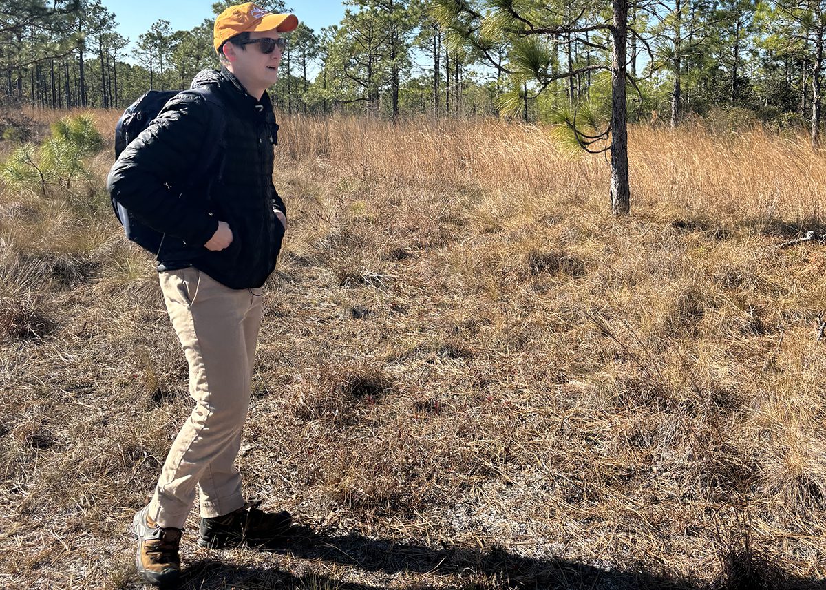 Ben Jones, Friends of the Mountains-to-Sea Trail Coastal Crescent project manager, steps last week into the wilderness of the Sleepy Creek parcel in the Holly Shelter Game Land in Pender County. Photo: Trista Talton