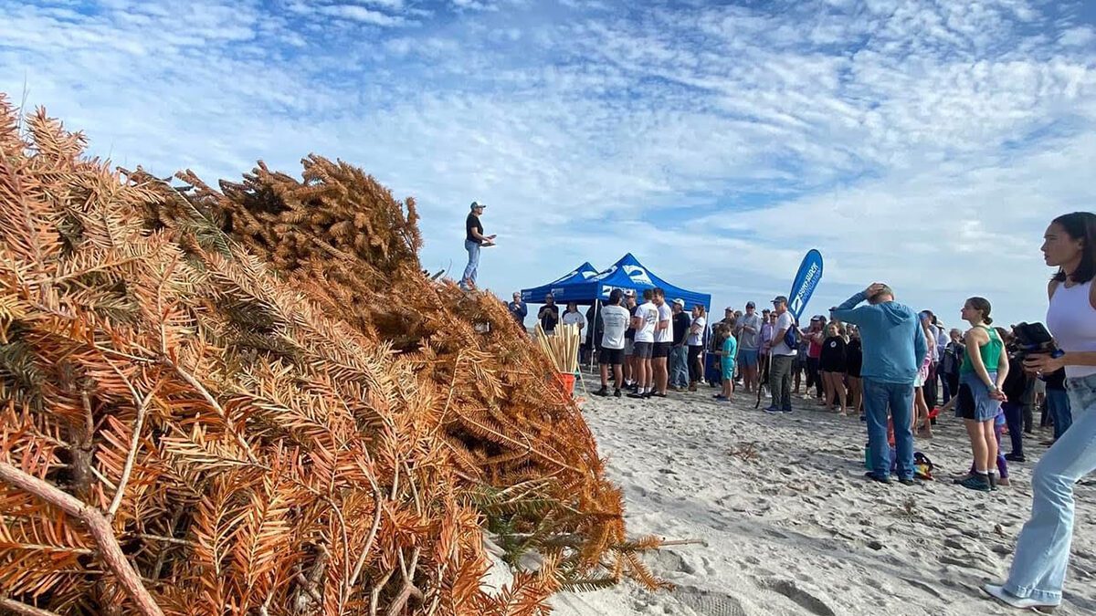 Volunteers participate in the Cape Fear chapter's 2024 tree event. Photo: Surfrider Foundation Cape Fear Chapter