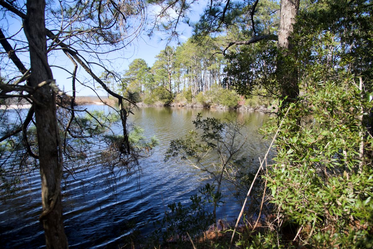 The trail ends at Freedman’s Point by a pond protected from the power of Croatan Sound by a sandbar. Photo: Kip Tabb