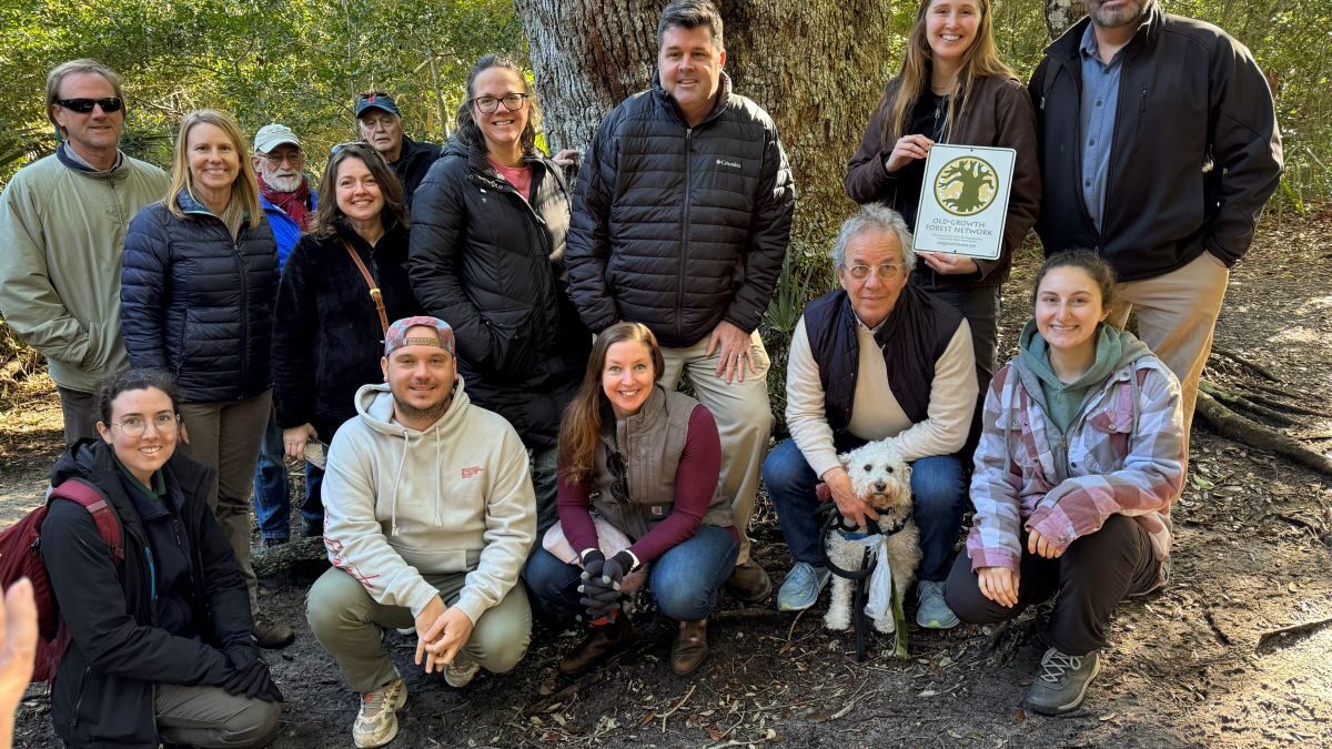 Representatives and community members of the Village of Bald Head Island, the Bald Head Island Conservancy, N.C. National Heritage Program staff; Coastal Reserve staff, Coastal Reserve Local Advisory Committee and the Old-Growth Forest Network pose following a dedication ceremony of the Bald Head Woods Reserve in January 2025.