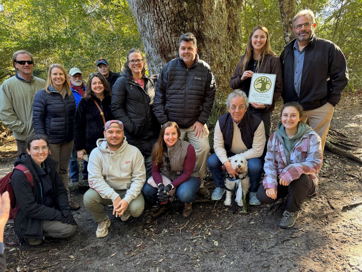 Representatives and community members of the Village of Bald Head Island, the Bald Head Island Conservancy, N.C. National Heritage Program staff; Coastal Reserve staff, Coastal Reserve Local Advisory Committee and the Old-Growth Forest Network pose following a dedication ceremony of the Bald Head Woods Reserve in January 2025.