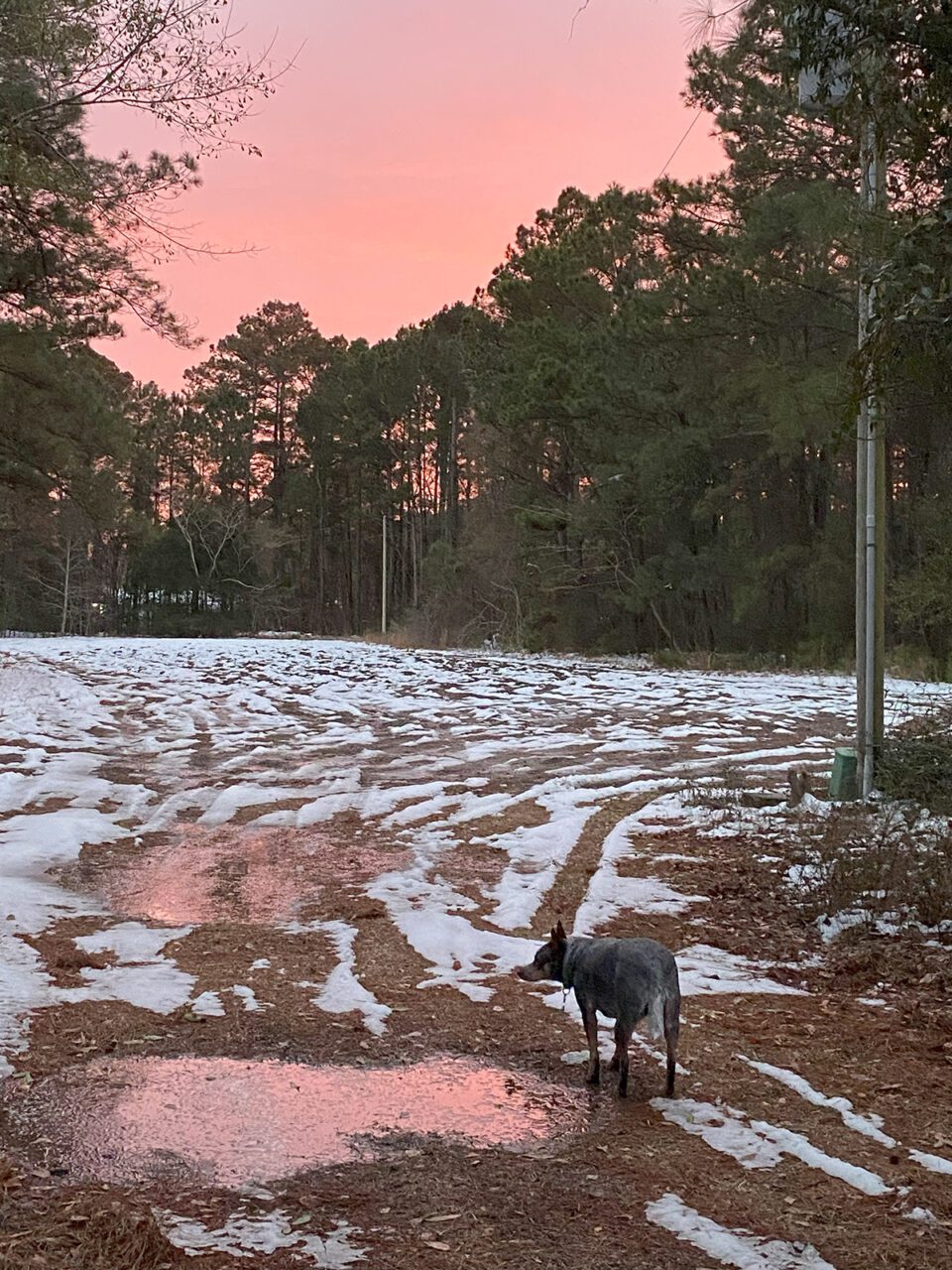 beautiful sunset reflected in a puddle against the background of a snowy field. Photo: Heidi Skinner