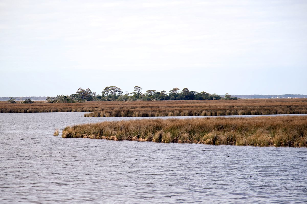 This view of Pine Island marsh does not show the project areas, but Walnut Island homes are visible at the right of the frame. Photo: Kip Tabb