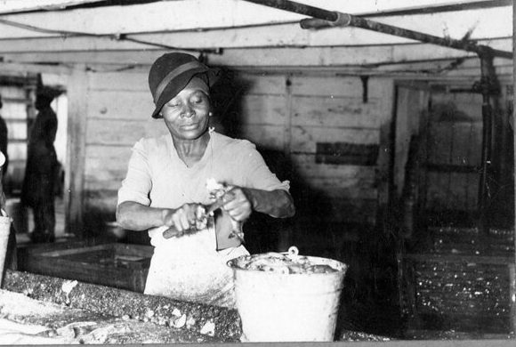 Heading and gutting herring by the Roanoke River, Plymouth, N.C., May 1939. Few African American or Indian women on that part of the North Carolina coast did not work at a herring fishery at some point in their lives. For many it was an annual rite. Paid piece rate, the fastest worked at blinding speeds, heading and gutting 50,000 herring or more every week. Photo courtesy, State Archives of North Carolina