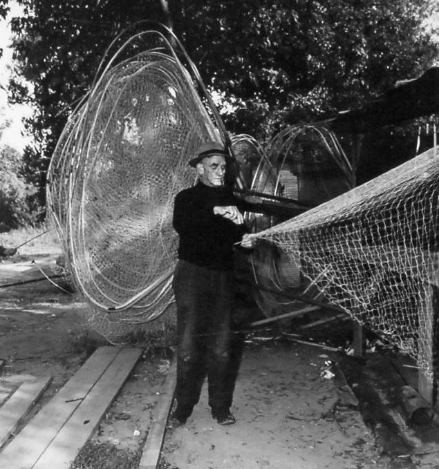 A bow net maker at work on the Roanoke River, ca. 1940. Crafted of ash wood, the nets had long handles and could be wielded by a single individual. Fishermen and women alike treasured their bow nets. They were often objects of great pride, and many fishermen and women passed their bow nets down to their children and grandchildren. Back in 2006, the year before the herring ban was enacted, my story “Alice Eley Jones: Herring Fish” recalled a herring fisherman’s affection for the handmade bow net he used on the Meherrin River.” Photo courtesy, State Archives of North Carolina