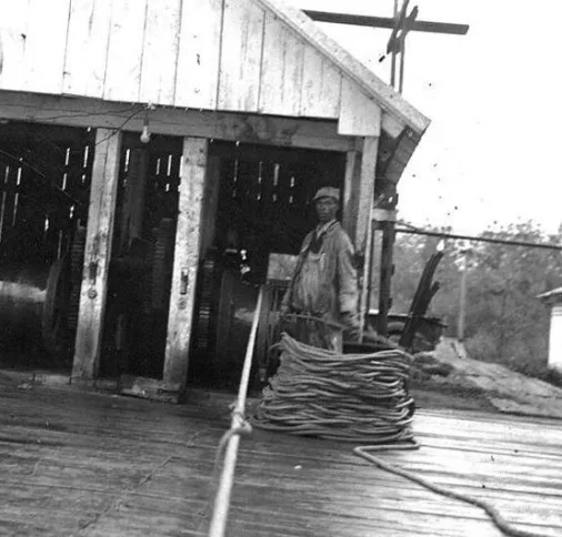 The two fisheries used heavy engines to haul in the seines, a job that once would have been done with horses turning a pair of powerful capstans. Like all of the few remaining seine fisheries, Kitty Hawk and Slade drew visitors from near and far. By 1939, there were so few herring seine fisheries left anywhere on the North Carolina coast that they often seemed like historical curiosities. Visitors and locals alike brought their children and grandchildren down to the shores of the Roanoke. They listened to the fishermen’s work songs, ate fried herring dinners, and came away feeling that they had witnessed something extraordinary that they might never see again. Photo courtesy, State Archives of North Carolina