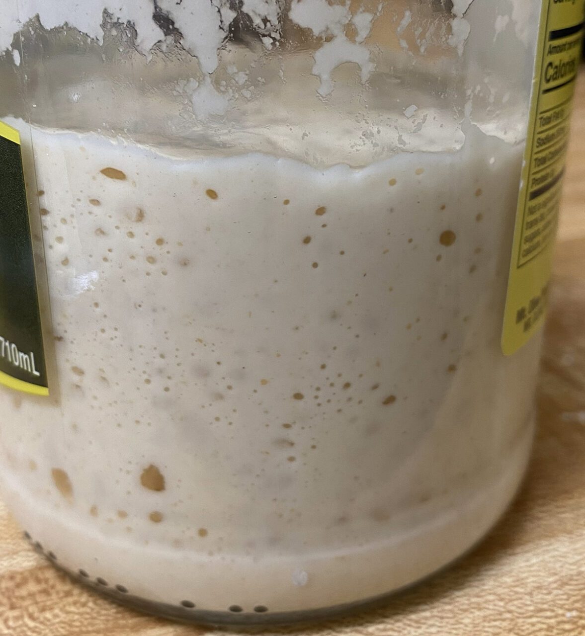 A very happy sourdough starter bubbles away, ready to gift. Photo: Heidi Skinner