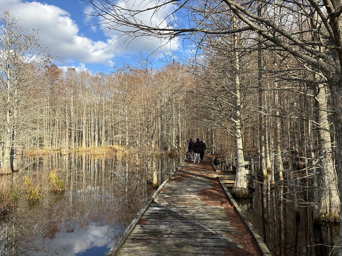 Visitors stroll the boardwalk at the Mattamuskeet National Wildlife Refuge. Photo: Catherine Kozak