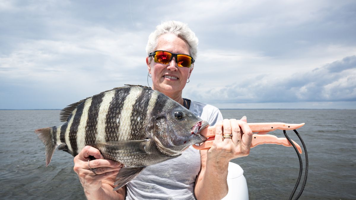 Lynn Salmon with a sheepshead she caught on the oyster sanctuary in the Neuse River. Photo: NCDMF