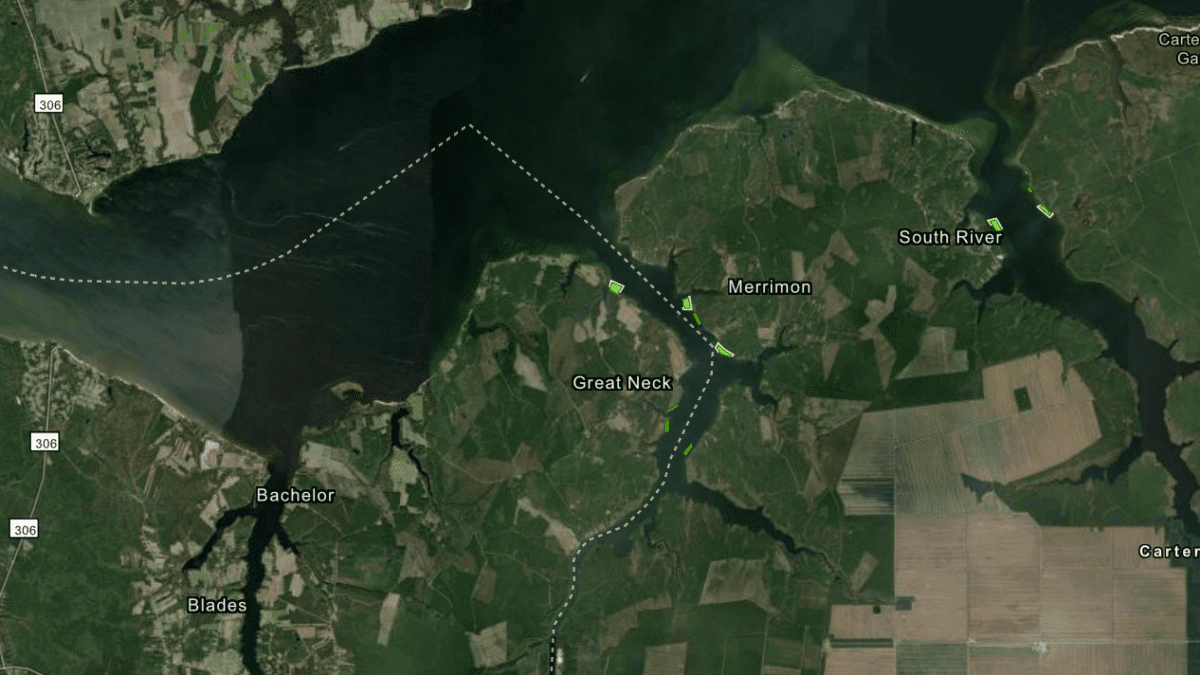 This screenshot from the N.C. Division of Marine Fisheries shows the site of a proposed shellfish lease in Adams Creek in Carteret County.