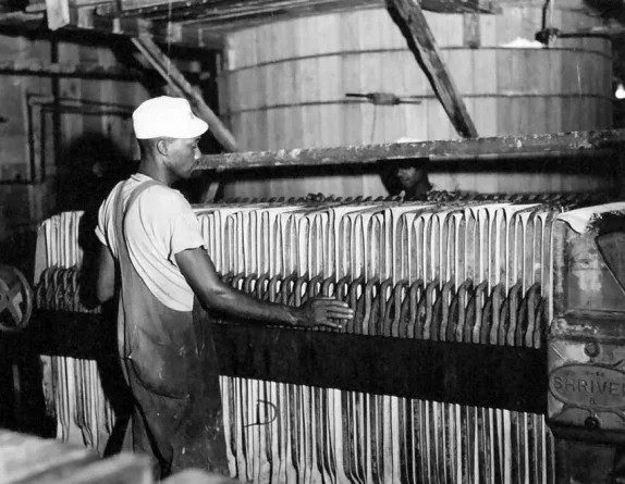 Sheets of agar ready for shipment, Beaufort, N.C., August 1944. Courtesy, State Archives of North Carolina

