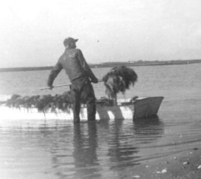 A fisherman “mossing” in the vicinity of Beaufort, N.C., August 1944. Photo courtesy, State Archives of North Carolina