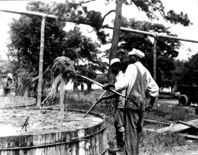 After removing the seaweed from the water baths, workers cooked the seaweed, then separated the resulting broth from the seaweed residue, and ran the soupy liquid through filters. Beaufort, N.C., August 1944. Courtesy, State Archives of North Carolina

