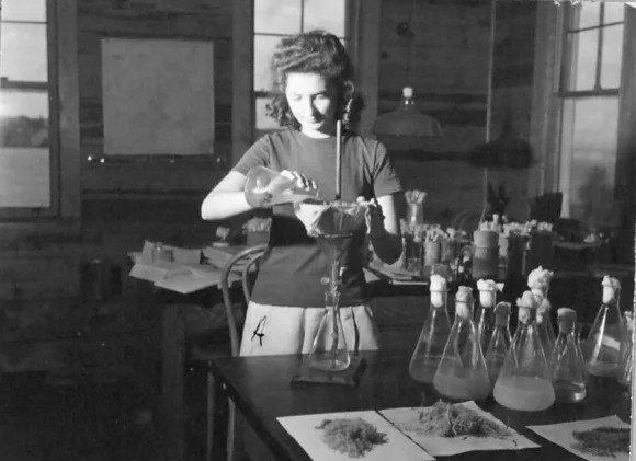 Gloria Faye Laughton working in the Beaufort Chemical Co.’s lab in Beaufort, N.C., August 1944. Ms. Laughton must have had a summer job at the lab. She had graduated from Beaufort High School in June of that year and was on her way to what was then called the Woman’s College of the University of North Carolina (now UNC Greensboro) that fall. Photo courtesy, State Archives of North Carolina

