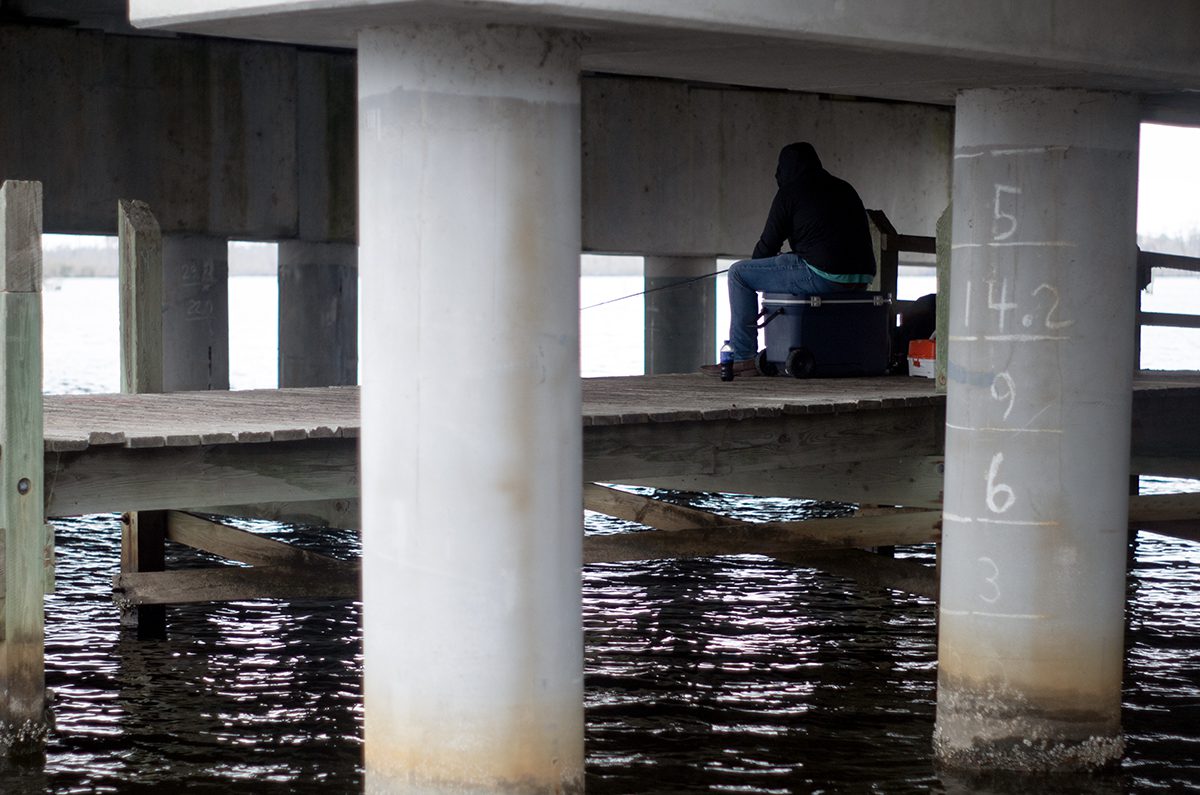 An angler tries his luck recently from beneath the Scuppernong River Bridge on the Pocosin Lakes National Wildlife Refuge visitor center boardwalk in Columbia. Photo: Mark Hibbs