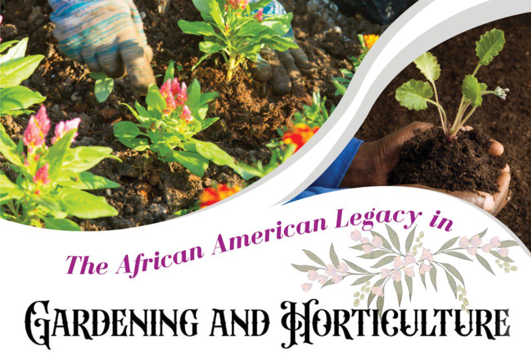 The African American Legacy in Gardening and Horticulture graphic courtesy North Carolina Botanical Gardens.