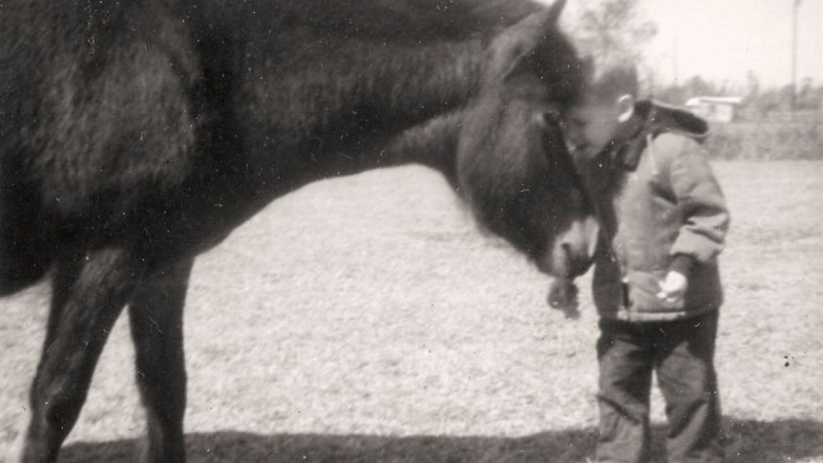 Historian David Cecelski as a young boy with his horse at the farm he grew up on in Carteret County. Photo: courtesy David Cecelski