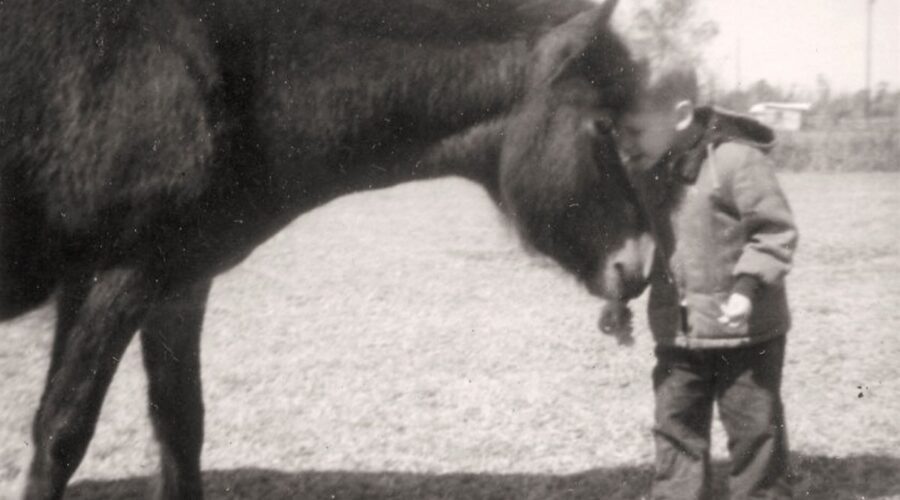 Historian David Cecelski as a young boy with his horse at the farm he grew up on in Carteret County. Photo: courtesy David Cecelski