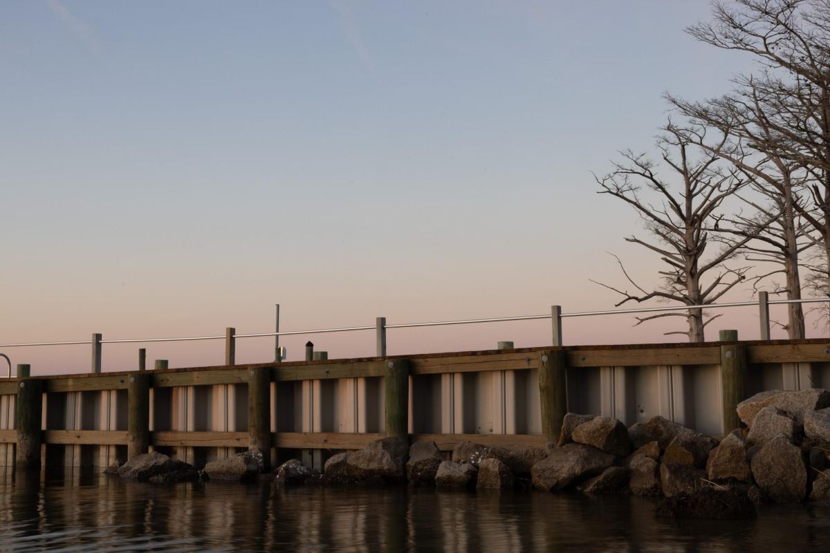 A traditional fiberglass bulkhead. Photo: Ava Kocher