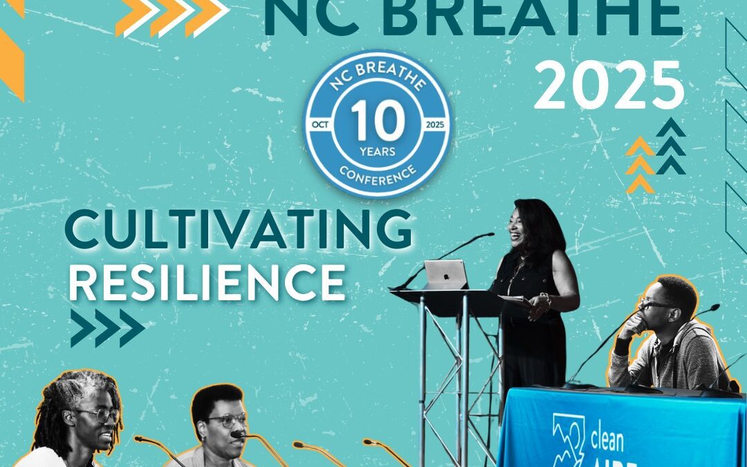 CleanAIRE NC graphic
