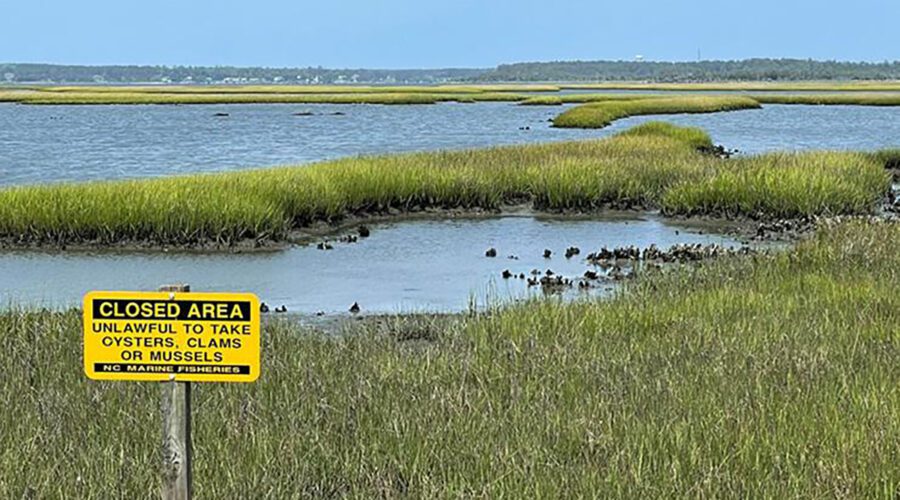 A sign posted by the state Shellfish Sanitation and Recreational Water Quality Section of the North Carolina Department of Environmental Quality designates a harvest closure. Photo: NCDEQ