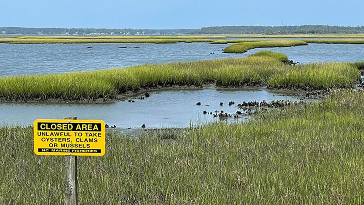 A sign posted by the state Shellfish Sanitation and Recreational Water Quality Section of the North Carolina Department of Environmental Quality designates a harvest closure. Photo: NCDEQ