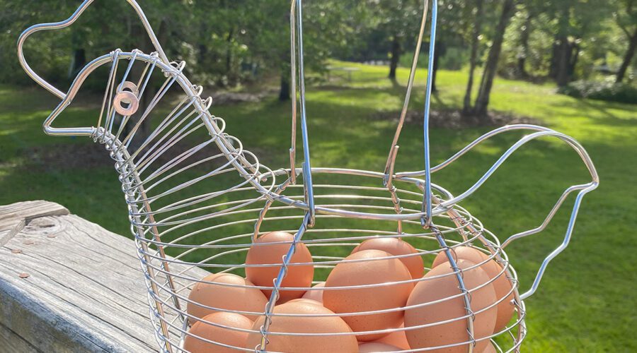 We've all heard the saying, "Don't put all your eggs in one basket,” and there’s a very good reason for the axiom, especially if you happen to drop the basket. Photo: Heidi Skinner