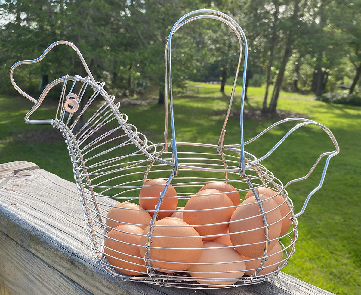 We've all heard the saying, "Don't put all your eggs in one basket,” and there’s a very good reason for the axiom, especially if you happen to drop the basket. Photo: Heidi Skinner