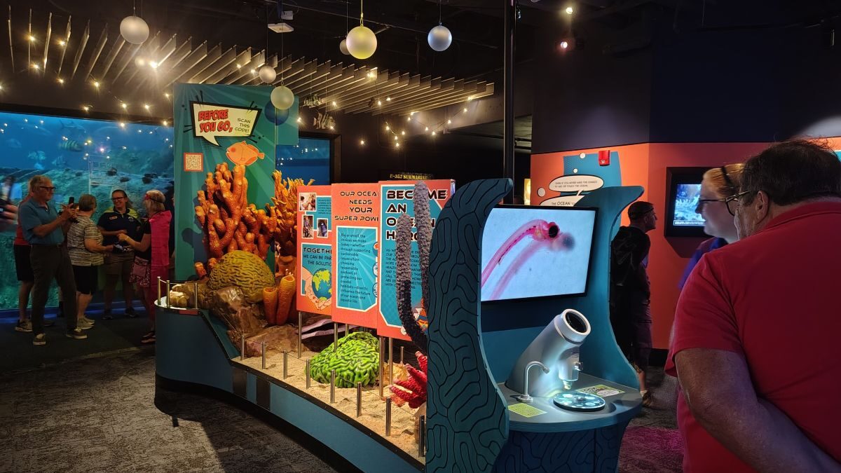 The North Carolina Aquarium at Pine Knoll Shores opened its newly reimagined Future Waters gallery Friday. Photo: Jennifer Allen