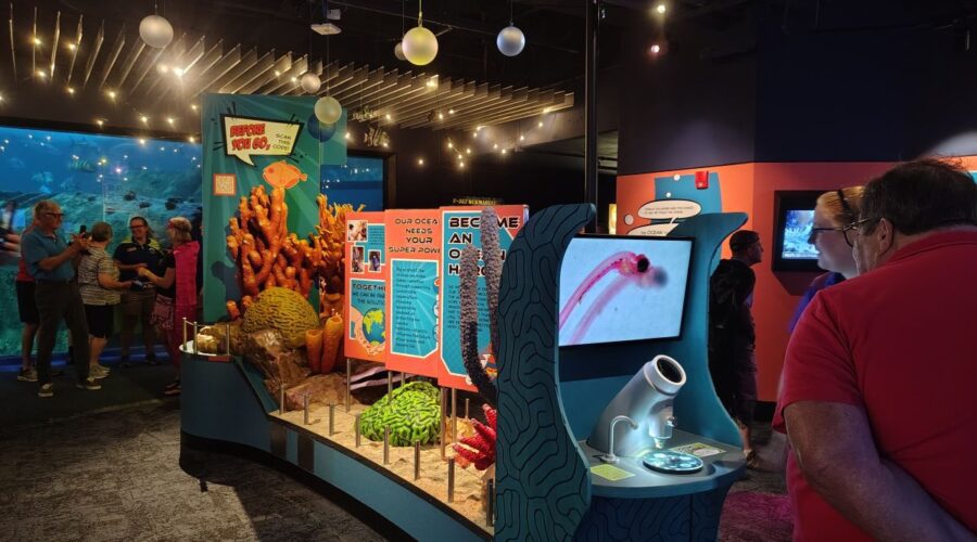 The North Carolina Aquarium at Pine Knoll Shores opened its newly reimagined Future Waters gallery Friday. Photo: Jennifer Allen