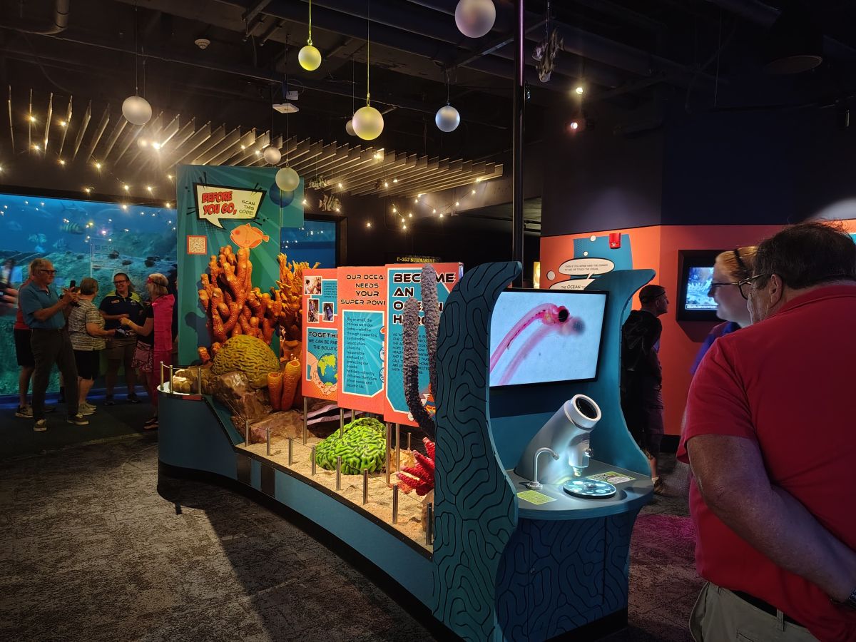 The North Carolina Aquarium at Pine Knoll Shores opened its newly reimagined Future Waters gallery Friday. Photo: Jennifer Allen