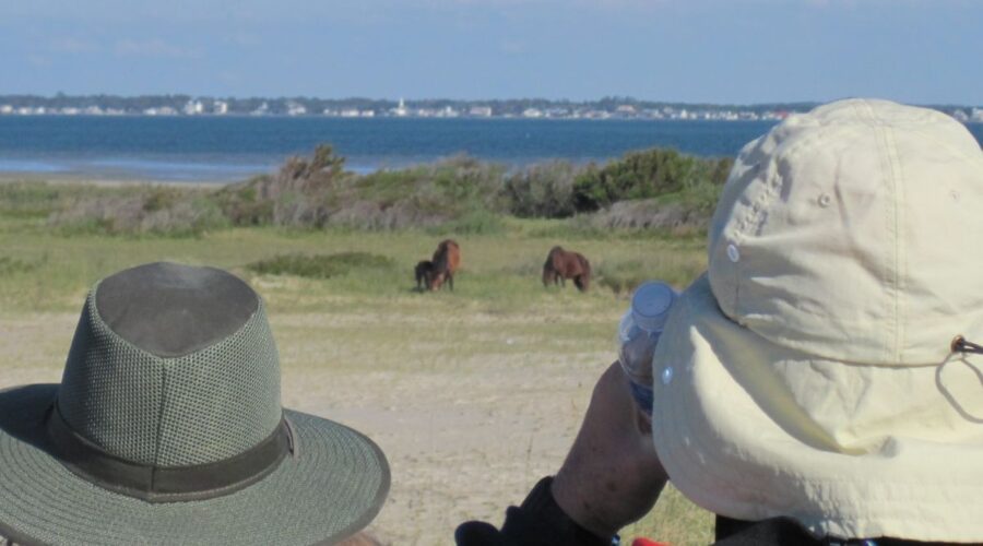 Visitors keep their distance during a past Horse Sense and Survival tour offered through Cape Lookout National Seashore. Photo: National Park Service