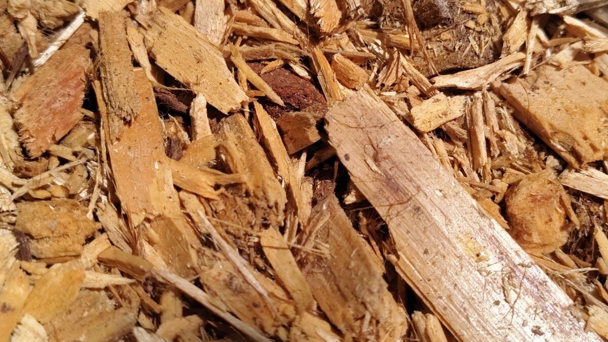 Wilmington is planning to begin at the end of this month its mulch giveaway. Photo: Jennifer Allen